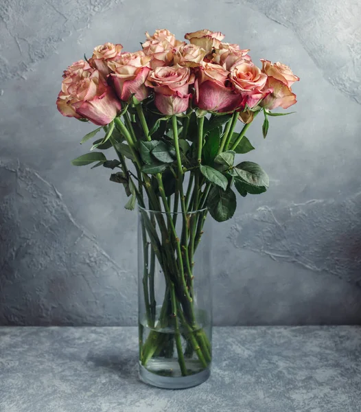 Απαλό ροζ ombre τριαντάφυλλο μπουκέτο σε γυάλινο βάζο μπροστά από το γκρι τοίχο — Φωτογραφία Αρχείου