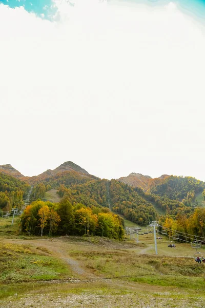 山の中に青い空の秋の森 — ストック写真