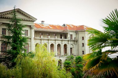 Yeşillikleri olan terk edilmiş bir şatoda eski bir çeşme