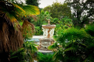 Yeşillikleri olan terk edilmiş bir şatoda eski bir çeşme