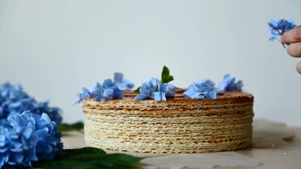 在手的框架内 放一个华夫饼蛋糕 装饰成蓝色的花朵 — 图库视频影像