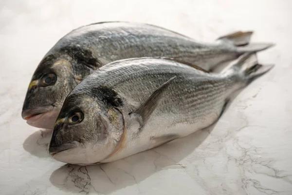 Parlak Arka Plan Üzerinde Iki Taze Çiğ Dorada Balıklar — Stok fotoğraf