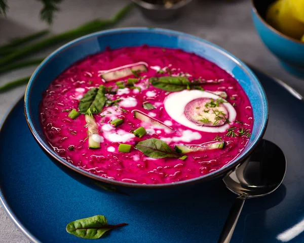 Sopa fría con remolacha, pepinos y huevos. ruso, lituano y — Foto de Stock