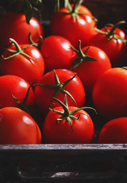 Свіжі стиглі червоні помідори в ящику — стокове фото