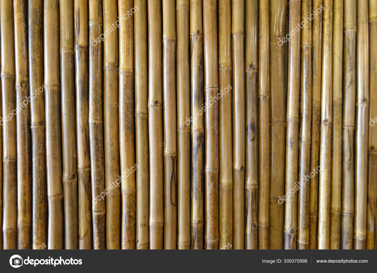 Bamboo Texture Background Wallpaper Wall Decoration Design Stock Photo Image By C Pichchapatr