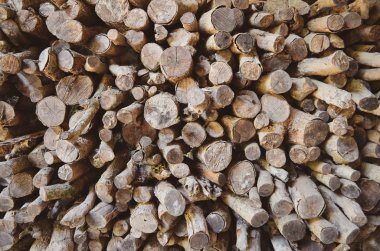 Yığılmış ahşap kereste. Yakacak ahşap arka plan dokusu. Duvar dekorasyonu ve tasarımı.