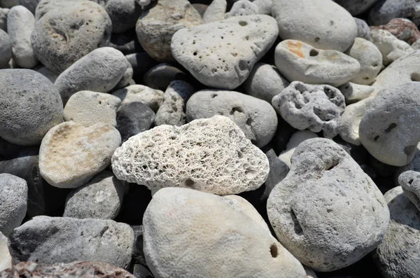 Sahilde güzel ölü mercan lar ve çakıl taşları bu mercanlar Koh Hin Ngam, Tayland, sadece çakıl ve ölü mercanlar var ada deniz suyu ile kıyıya swash.