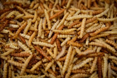 Chiang Mai, Tayland hediyelik eşya pazarında Kovulmuş Bambu Tırtıl. Tay sokak gıda.