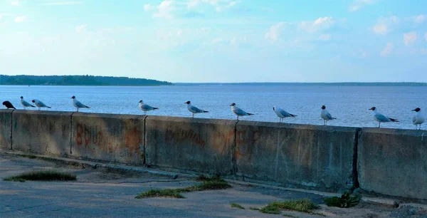  deniz ve mavi gökyüzü görünümü