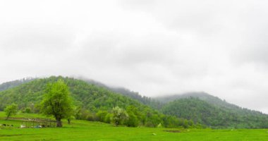 Dağlar kadar renkli sonbahar manzara yükselen bulutlar Timelapse