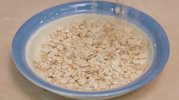Rolled oats grains and plate mockup. Oats grains falling into plate. 4k video shot. — Stock Video