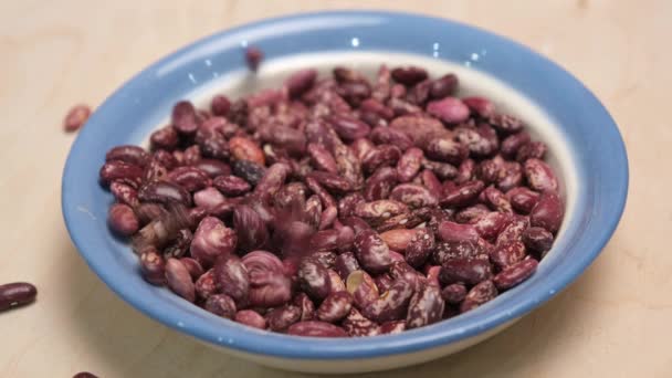 Sušené červené fazole na talíři. Snímek videa 4k. — Stock video