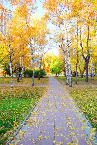 Φθινόπωρο όμορφο ήσυχο πάρκο σε φωτεινά χρώματα φθινόπωρο με πολύχρωμα δέντρα — Φωτογραφία Αρχείου