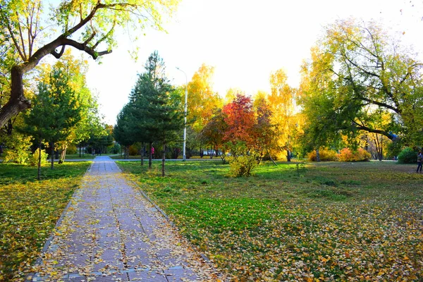 紅葉の美しい秋の公園とカラフルな木々 — ストック写真