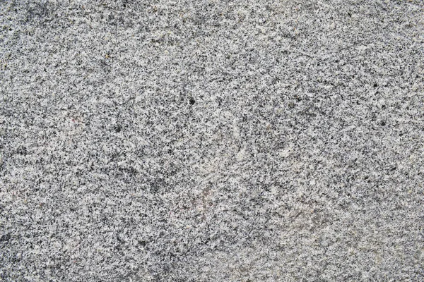 La texture de la pierre est petite, blanche avec des points noirs . — Photo