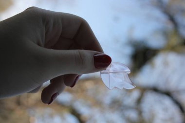 Elinde kristal bir şey