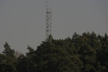 Sonbahar ormanının güzel doğası