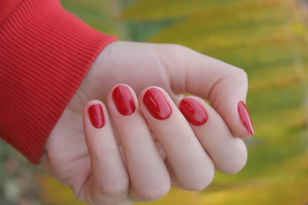 The red nails on the hand