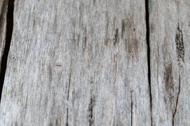 arka plan için eski ahşap