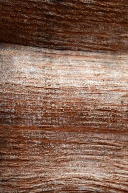 Ahşap doku ( doğal ahşap arka plan 