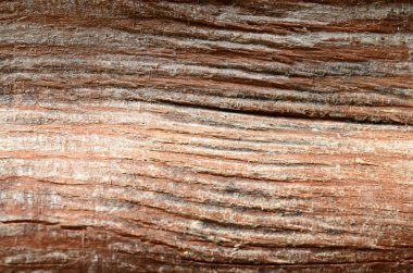 Tahta döşeme dokusu