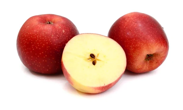 Nová Odrůda Holandský Apple Názvem Dalinco Jeden Řez — Stock fotografie