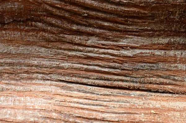 Текстура Дерева Фон Натурального Дерева — стокове фото