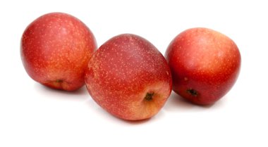 su damlası ile taze kırmızı elma