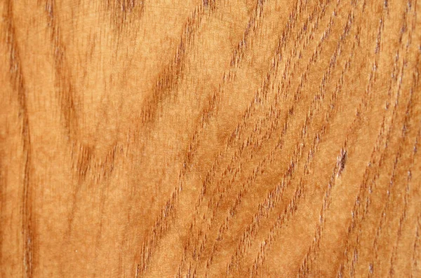 stock image Brown wood texture. Abstract background