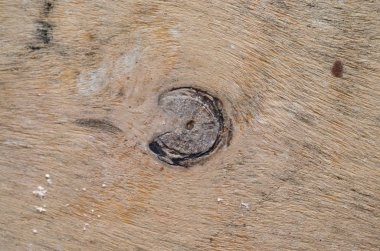 Boş kahverengi ahşap doku arka plan