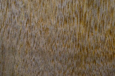 Kontrplak, çizik ve kırık, doku arka plan için yaşlı bir levha yüzeyine yakın çekim.