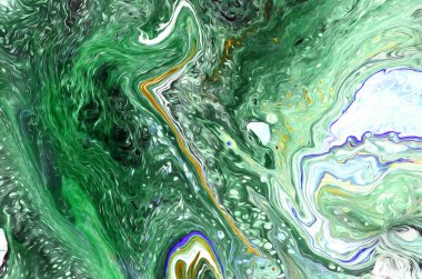 Ganoderma Lucidum Mantarı beyaz arka planda izole edildi