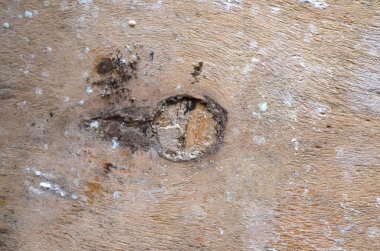 ahşap arka plan doku, ışık rustik meşe yıpranmış. cddeki doku gösterilen ahşap vernikli boya solmuş. Ahşap plakalar arka plan desen tablosu üstten görünüm yıkanmış