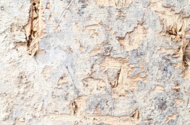 Ahşap dokular. Tasarım ve dekorasyon için ahşap doku