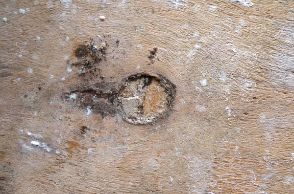 ahşap arka plan doku, ışık rustik meşe yıpranmış. cddeki doku gösterilen ahşap vernikli boya solmuş. Ahşap plakalar arka plan desen tablosu üstten görünüm yıkanmış