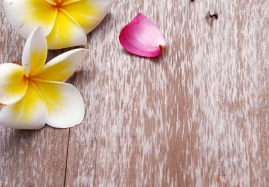 Frangipani ve eski ahşap doku