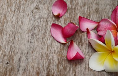 Plumeria çiçek deseni eski ahşap zemin doku ve arka plan çerçevesinde