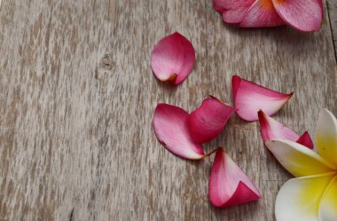 Ahşap arka plan üzerinde beyaz plumeria çiçek