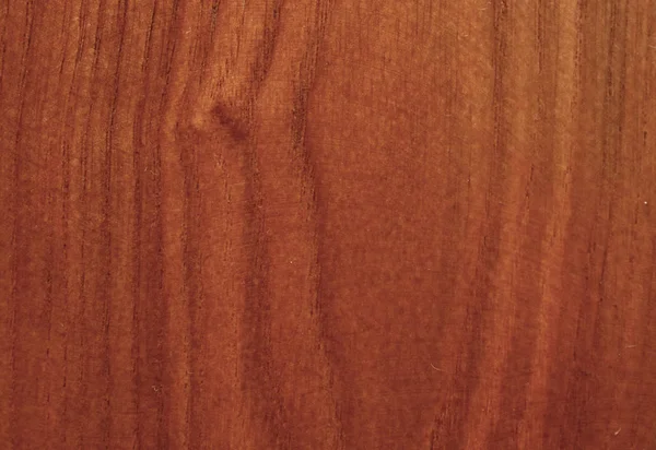 Holz Textur Hintergrund Leicht Verwitterten Rustikalen Eiche Verblasste Hölzerne Lackfarbe — Stockfoto