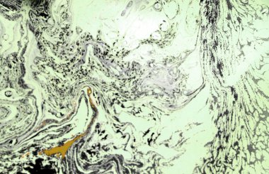 Sanatsal soyut tasarım renk sıvı karıştırma ile yaratılmıştır. Colo