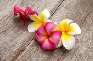 Ahşap masa Frangipani çiçek