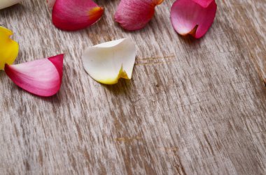 Frangipani ve eski ahşap doku