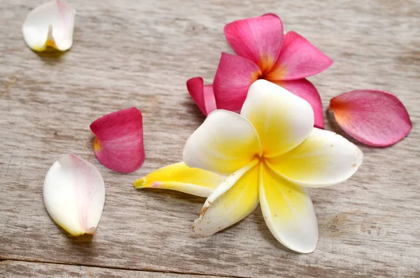 Flores Frangipani Mesa Madera — Foto de Stock