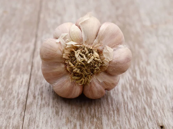 Garlic with leaves of parsley isolated on white