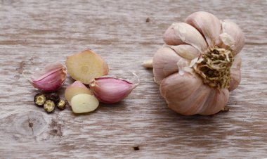 Sarımsak ampul ve beyaz arka plan üzerinde izole diş sarımsak.
