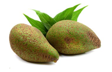 beyaz arkaplanda avokado