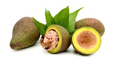 beyaz arkaplanda avokado