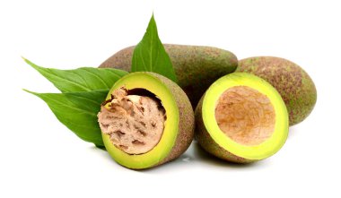 beyaz arkaplanda avokado