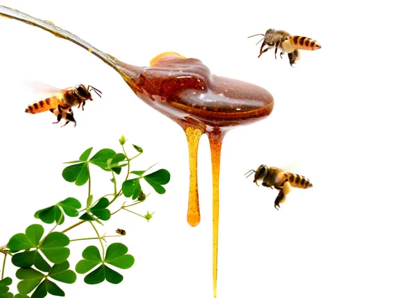 ガラスの器の中を流れる蜂蜜 — ストック写真