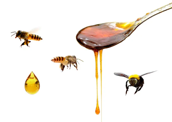 Honig Goldenen Löffel Honig Goldenen Löffel Honig Goldenen Löffel — Stockfoto